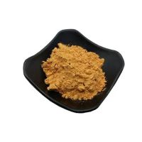 Instant Fruit Juice Powder Spraying Dried Sea-Buckthorn Fruit Powder