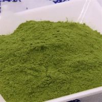 Pure Natural Water Soluble Raw Materials Uniform Color Celery Juice Powder