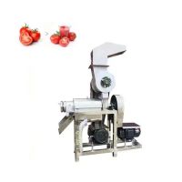 Heavy-Duty and High-Efficiency Industrial Juicing Equipment Juicer Machine for Garlic, Lemon