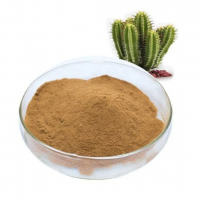 Cactus Leaves Powder