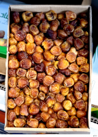 Saudi dates (Sukkary rutab)