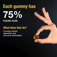 Mineral supplements from gummies