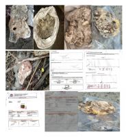ambergris
