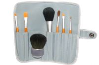 Professional Makeup Artist Brush Set With Case