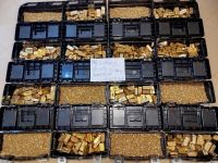 Gold dore bars
