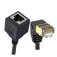 Gigabit Ethernet Cable Extension
