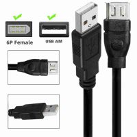 IEEE 1394 Cable, Firewire 6-Pin Female to USB 2.0 A Male Adapter Cable for Digital Cameras 