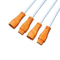 DC wire, two-color male-female plug-in connection wire, with two or three cores and 0.3 square, power cord for LED lamps and panel lights