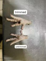 Turkey Chicken Paws B grade to HK or Vietnam