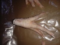 Turkey Chicken Paw A Grade Small Size