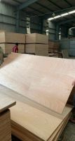 Birch Plywood