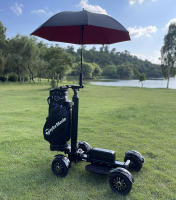 Affordable Chinese Electric Single Golf Cart Car for Sale Comfortable Single Electric Golf Carts