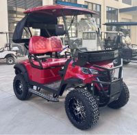2 Seat Golf Cart Electric 2 Seater Price Chinese Gas Golf Carts for Sale 2 4 6 Passenger Golf Carts