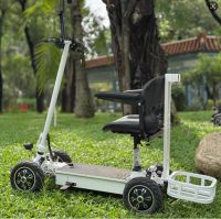 Electric Single Golf Cart Mini Buggy Car 1 seat for Sightseeing and Golf Course