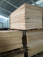Plywood