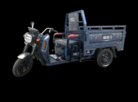  Fu Yingmen ROAD HOGS SERIES Electric tricycle for carrying cargo
