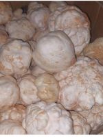 White Desert Truffle