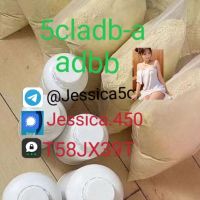 Powder, high purity powder