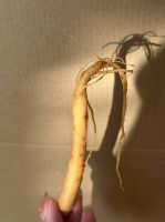 Ginseng Drink