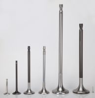 Marine engine valve