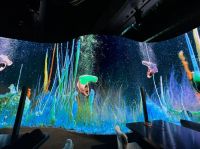 High quality LED display(indoor and outdoor)