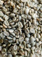 Arabica Coffee Beans