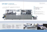 DPP-250P Blister Packing Machine for Efficient Product Packaging