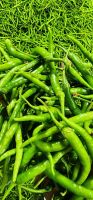 Green Chilli G4