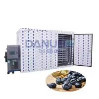 Energy Saving Grape Dryer Heat Pump Drying Machine Fruit Mango Blueberry Apple Slice Tomato Drying Equipment