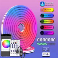 Kinyu RGBIC Neon Rope Light 5V Flexible LED Strip for Home DIY,16.4ft/5m