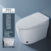 æ™ºèƒ½é©¬æ¡¶