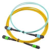 MPO patch cord