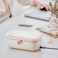 electric lunch box
