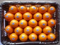 Grade A Fresh Lemons / Fresh Grapes / Fresh Orange