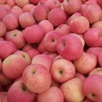 2021 New Fresh Fruits Red Fuji Apples For Sell At Cheap Price
