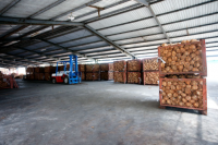 Dried Coconut, full husked coconut