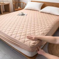 Antibacterial Mattress Protector