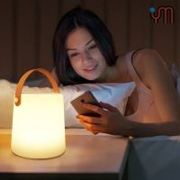 Portable Outdoor Bluetooth Speaker RGB Light with Wireless Remote Control LED Ambient Night Light Multi-functional Audio From China