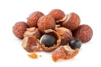 Soapnut 