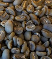 Arabica Java Preanger Coffee Beans