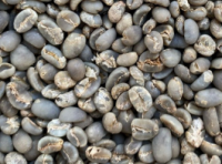 Arabica Gayo Grade 1 Coffee Beans