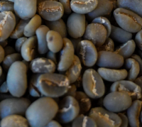 Arabica Semi Wash Coffee Beans