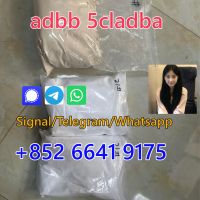 Raw material  6cl-adba 5cl-adba precursor powder