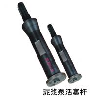 piston rod