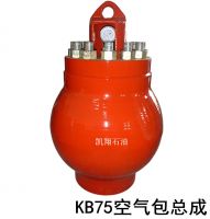 air bag assembly