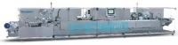 Efficient Blister Packing Line for DHC System