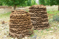 Cow dung manure