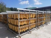 RSS Rubber