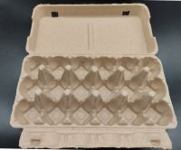 PTPACK Natural Pulp Egg Cartons 18 Paper Cardboard Eggs Flat Compostable  Empty Egg Carton