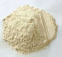 Onion and garlic powder
